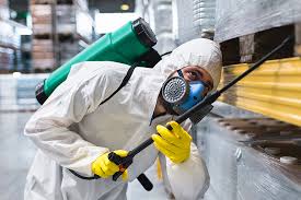 Best Pest Prevention Services  in Rogers, AR